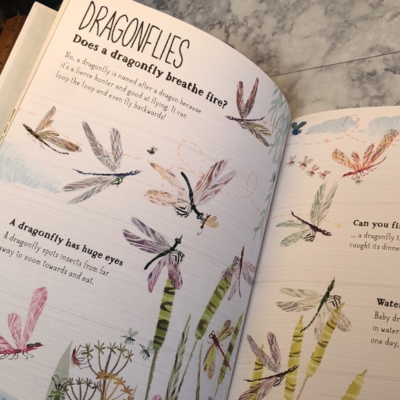 The Big Book of Bugs & Sticker Book - Picture 3 of 9